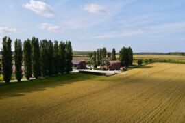 CASCINA ALBERONA dal 1987